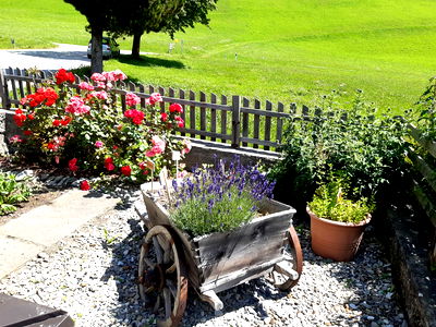 Bild 49 aus Bergerhof