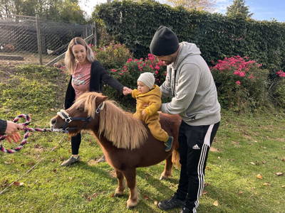 Bild 27 aus  Landhaus  Aigner 