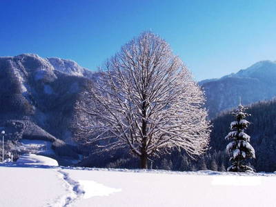 Bild 41 aus  Trialhof Schaureith