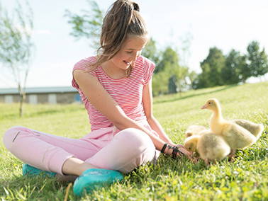 Bild 35 aus  Bauer Korl's Golchener Hof