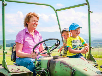 Bild 18 aus  Panoramahof