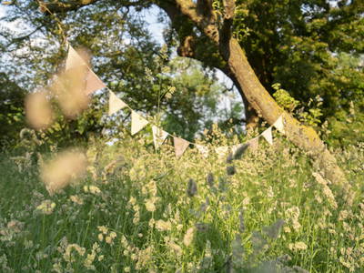 Bild 37 aus  LandSelection Biohof Fehmarn