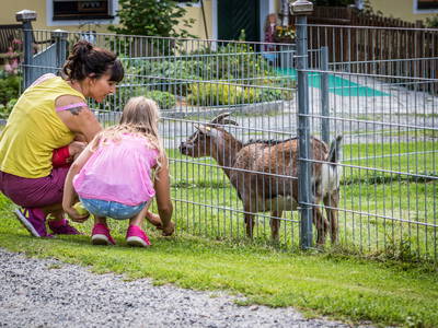 Bild 6 aus  Meuerhof - Familiär. Natürlich. Gut.