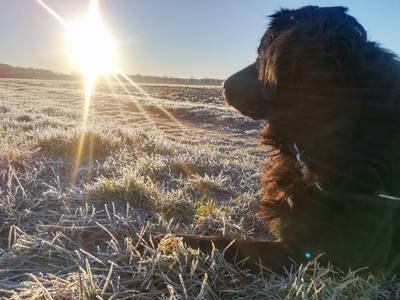 Bild 20 aus  Ferienhof Wegmann