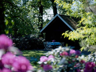 Bild 6 aus  Mühlenhof