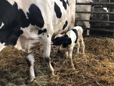 Bild 7 aus  Ferienhof Wiesengrund