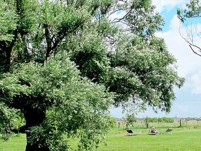 Bild 12 aus  An der See.de