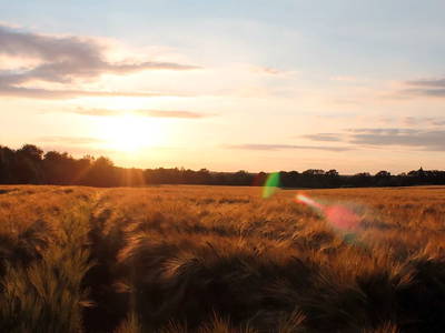 Bild 10 aus  Hof Hospitalmühle