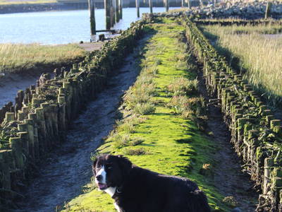 Bild 30 aus  Alter Bahnhof Vaale