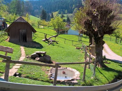 Bild 20 aus  Maierhof