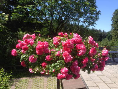 Bild 14 aus  Ferienhof Egger