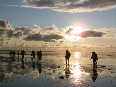 Geführte Wattwanderungen in der Nähe möglich.