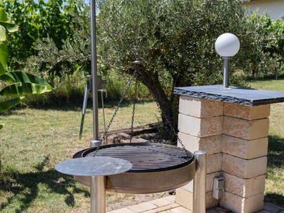 Bild 10 aus  Weingut Winnebeck inmitten der Weinberge