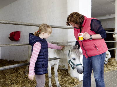 Bild 21 aus  LandSelection Traberhof