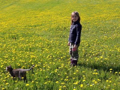 Bild 24 aus  Springbakgaard