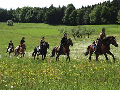 Bild 14 aus  Fenwick Farm