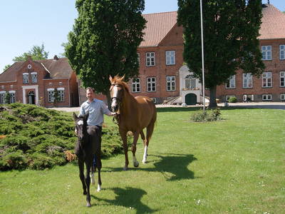 Bild 12 aus  LandSelection Gut Gaarz