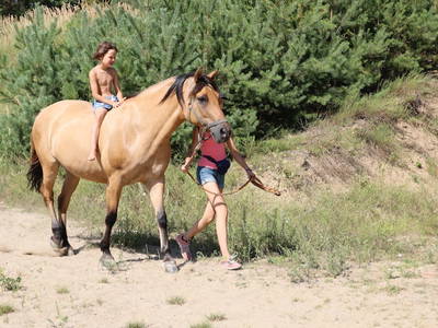 Pferdehof Gleboczek nur 10 min. von uns