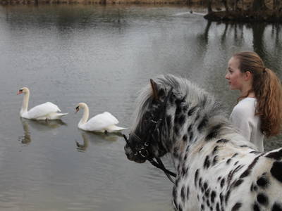 Bild 18 aus  Gut Sommereichen