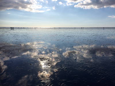 Wolkenspiegelungen im Watt