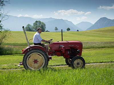 Bild 16 aus  Matheishof