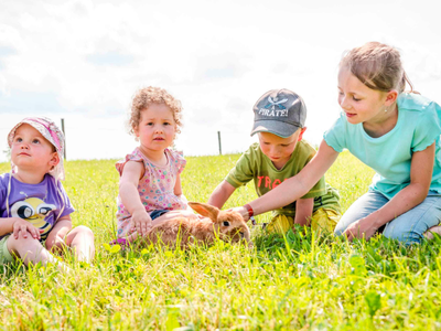 Bild 36 aus  Panoramahof