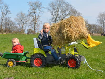 Bild 12 aus  Luftsnapper & Fellnasen