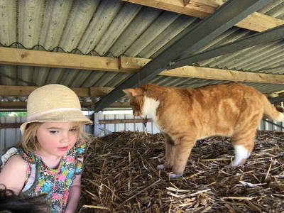 Bild 17 aus  Biolandhof-von Agris