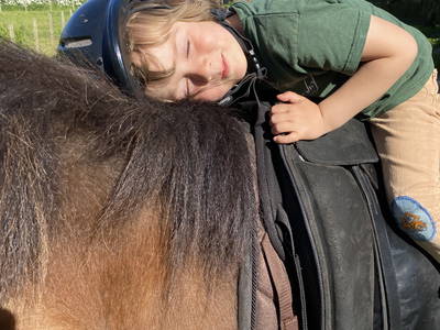 Bild 5 aus  Osterhof Fehmarn - mit Hofladen, Hofprogramm und Ayurveda-Wellness