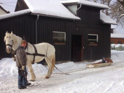 Bild 23 aus  Ferienwohnungen Strobel Eichstegen