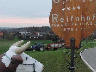 Bild 23 aus  Auf'm Reifnhof: Ihr Kreativhof am Simssee im Chiemgau