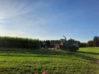 Bild 39 aus  Erholung - Natur pur - Urlaub auf dem Loyerhof