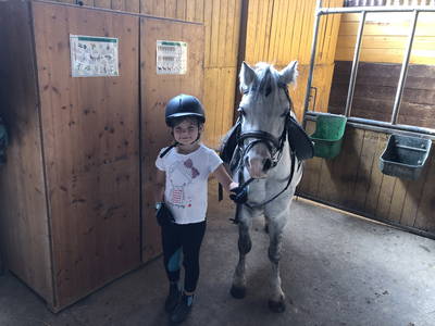 Bild 32 aus  Reitschule Fuchsenhof FN