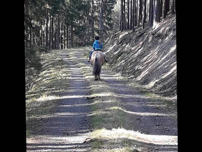 Beim Ausritt mit Ingo