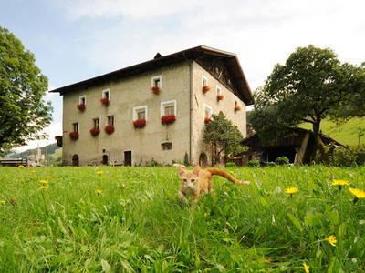 Bild 3 aus  Moserhof