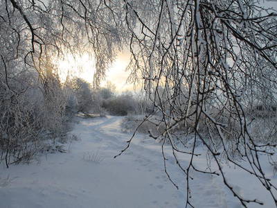 Bild 12 aus  Victorhof Ferienwohnungen