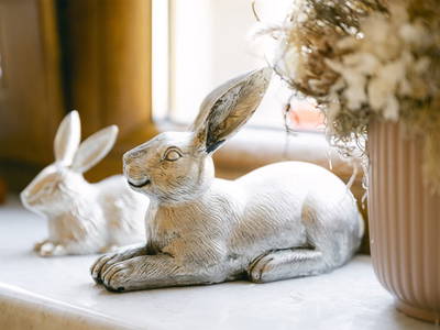 Bild 393 aus  Pimperlhof