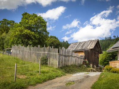 Bild 15 aus  Schobergut