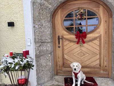 Bild 52 aus  Buchnerhof