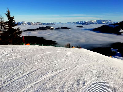 Bild 16 aus Alpboden