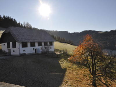 Bild 9 aus  Biohof Stockreiter vulgo Grillschmied