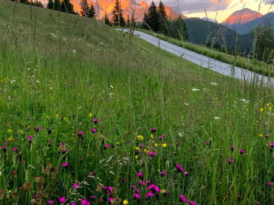 Bild 215 aus  Berghof-Pension Wildau