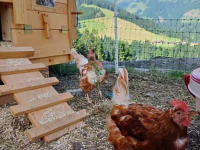 Bild 8 aus Vorderzettn
