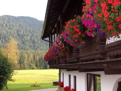 Bild 13 aus  Tschaperhof - Urlaub mit Pferd