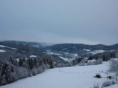 Bild 57 aus  Madritschhof