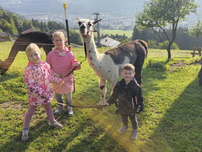 Bild 15 aus  Pfleger Ranch am Schönegg Gut