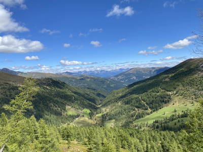 Blick von der Waldhöhe Richtung Tauern