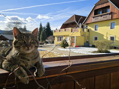 Bild 200 aus  Kuchlbauer
