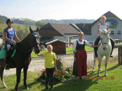 Bild 60 aus  Reiterhof Pfleger