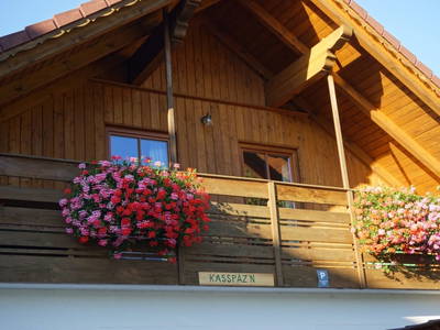 Bild 61 aus Ferienhof Hotz - direkt am Schilift